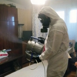 Дезинфекция от клопов в Чебаркуле